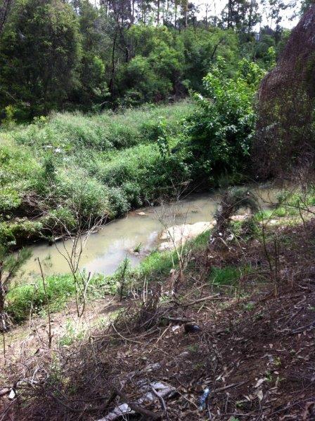 Uncle Neil Sainsbury, Duck Creek swimming hole